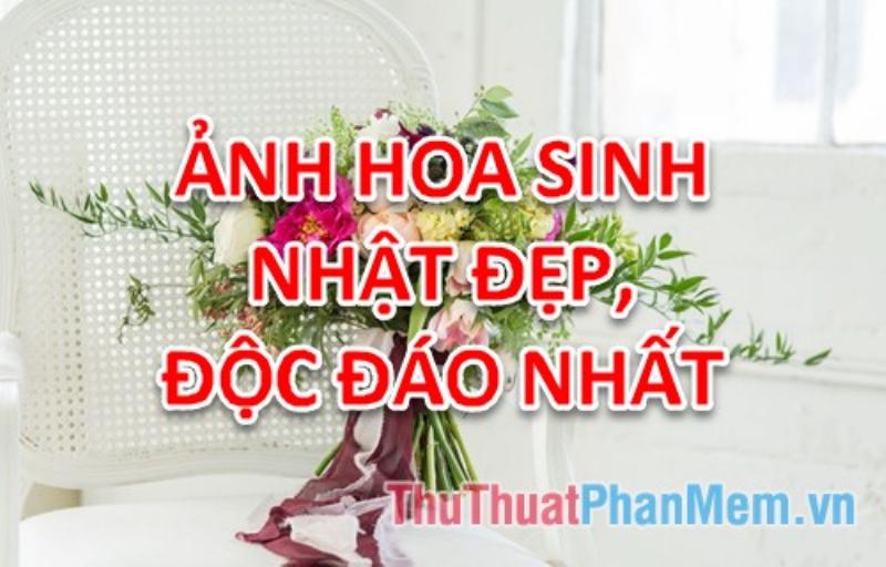 hinh-anh-bo-hoa-sinh-nhat-dep-ngon-nghi