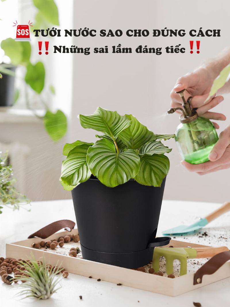 Cách tưới nước cho cây hoa sao cho đủ ẩm mà không bị úng, phù hợp với loại cây và thời tiết