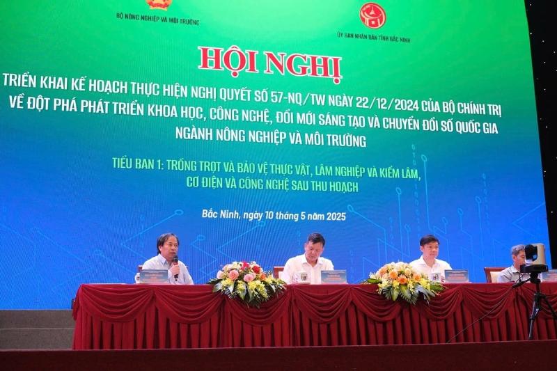 Chọn giống hoa phù hợp với điều kiện khí hậu, vị trí trồng và kinh nghiệm người trồng để việc trồng hoa thành công