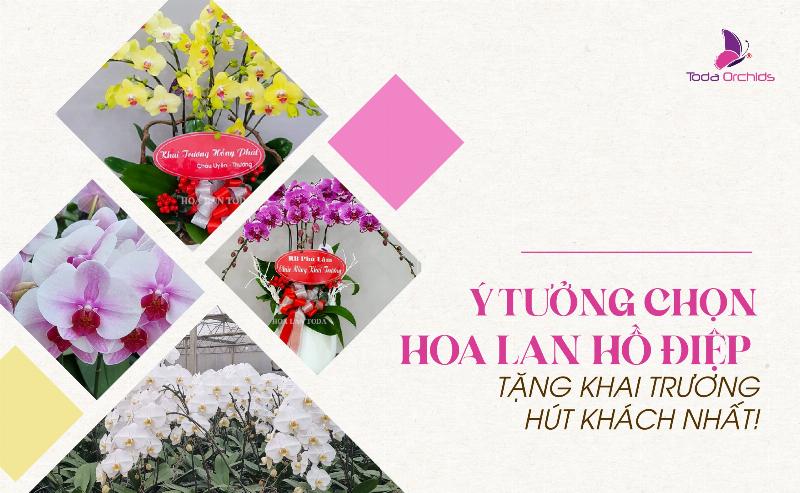 Đặt hoa khai trương lung linh, rực rỡ cho ngày khai trương thêm phần long trọng