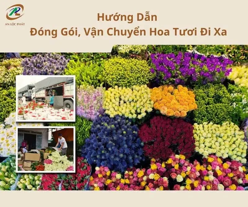 Gói dung dịch dưỡng hoa chuyên dụng bên cạnh bình hoa tươi, minh họa giải pháp tối ưu thay cho việc bỏ đường vào nước cắm hoa