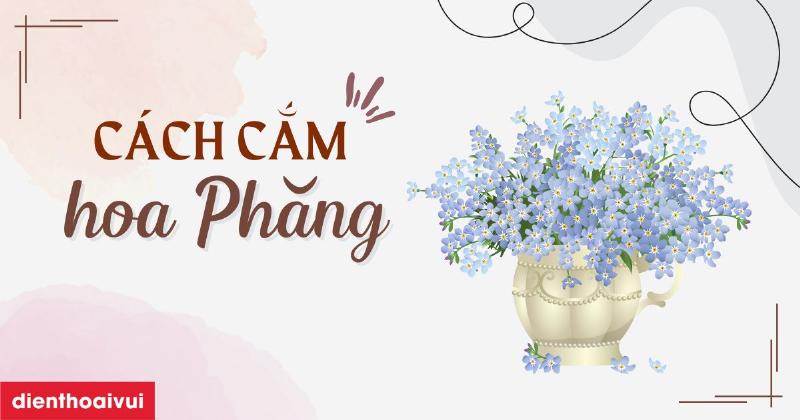 Hình ảnh bó hoa phăng tím được bó theo kiểu quạt, thể hiện sự sáng tạo và tinh tế