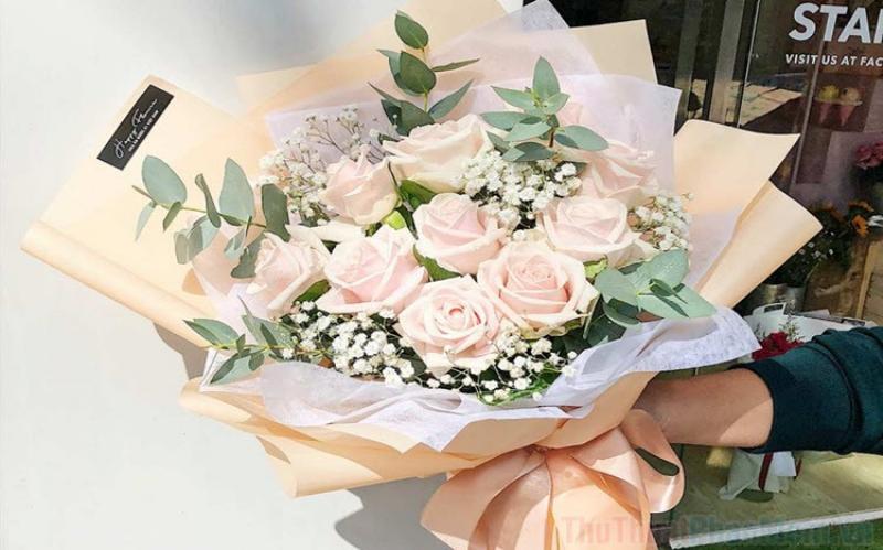Những bức ảnh hoa sinh nhật đẹp nhất thế giới - Hoa hồng đỏ quyến rũ