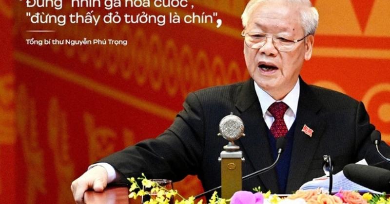 hoa-phi-dieu-lam-dep-cho-ngoi-nha