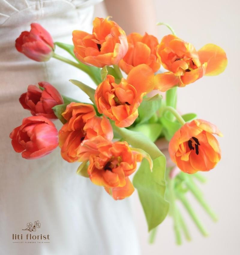 chon-va-bao-quan-hoa-tulip-tuoi-lau