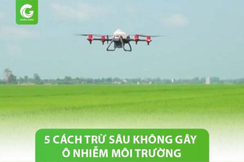 Cách phòng chống sâu bệnh hại cây hoa bằng phương pháp tự nhiên hoặc an toàn cho môi trường