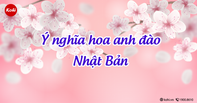 Ý nghĩa hoa anh đào trong văn hoá Nhật Bản