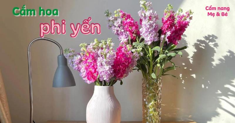Ý nghĩa của hoa phi yến màu xanh dương trong cắm hoa.