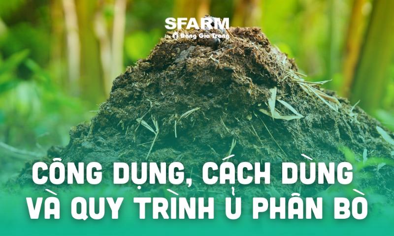 Người làm vườn đang bổ sung phân compost đã hoai mục vào luống đất để tăng cường chất hữu cơ