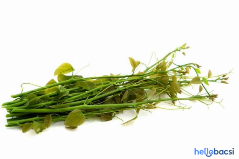 Các món ăn ngon được chế biến từ rau bò khai như xào trứng, xào tỏi, nhúng lẩu