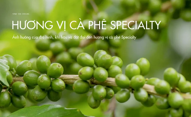 Hình ảnh minh họa về các yếu tố cấu thành nên độ phì của đất bao gồm nước, nhiệt, khí và chất dinh dưỡng giúp cây phát triển tốt