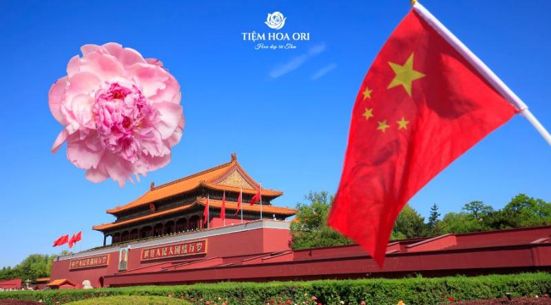 Những cánh hoa mẫu đơn đa dạng về màu sắc và hình dáng, thể hiện vẻ đẹp phong phú