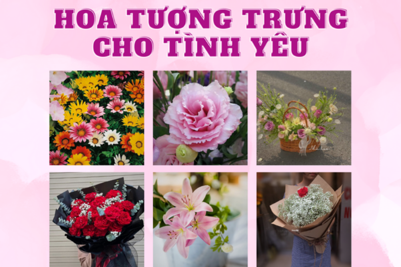 Ý nghĩa biểu tượng của hoa tử đằng màu tím trong tình yêu và lòng chung thủy