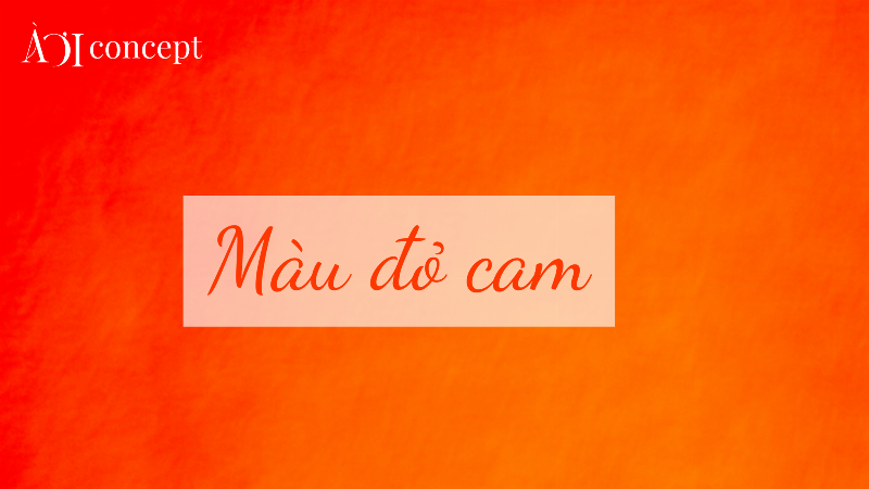 Bình hoa tươi màu sắc rực rỡ đặt trên bàn phòng khách mang đến không gian tràn đầy năng lượng cho người sinh năm 1986