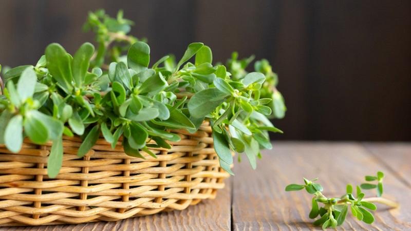 Hình ảnh một bó hoa tinh tế, được gói cẩn thận, với sự kết hợp hài hòa của các loại hoa và màu sắc phù hợp với người sinh 17 tháng 3, đặt trên bàn cùng một tấm thiệp chúc mừng