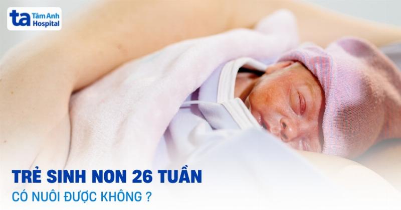 Chăm sóc hoa tươi lâu trong 26 tuần, bí quyết từ chuyên gia