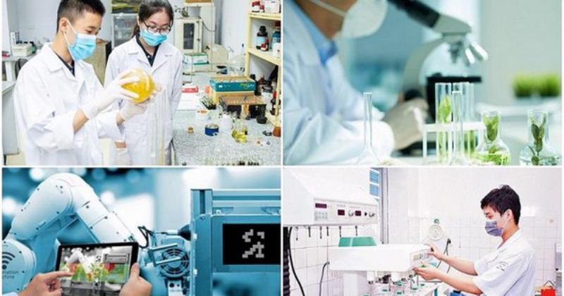 Đầu tư vào tri thức với 500 đô la là bao nhiêu tiền Việt bằng việc mua sách về hoa và tham gia các khóa học chuyên sâu
