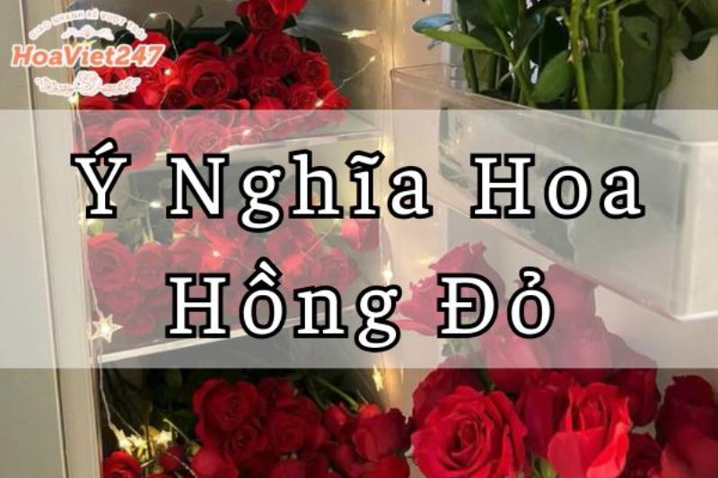 Hình ảnh ẩn dụ vun đắp tình yêu như chăm sóc hoa tươi mỗi ngày