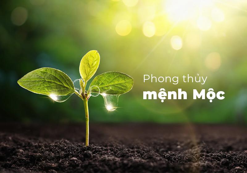 Tổng quan ý nghĩa và đặc điểm của tuổi Canh Thân mệnh Thạch Lựu Mộc, kết nối với thiên nhiên và hoa cỏ