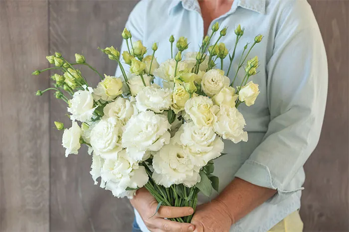 Những đóa hoa cát tường trắng mềm mại và tinh tế