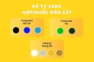 Màu sắc tương hợp và tương khắc với người sinh năm 1989 mệnh Mộc