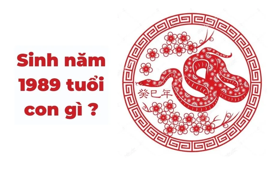Người sinh năm 1989 cầm tinh con Rắn