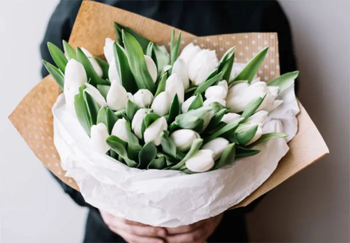 Những bông hoa tulip trắng mỏng manh, thanh tao