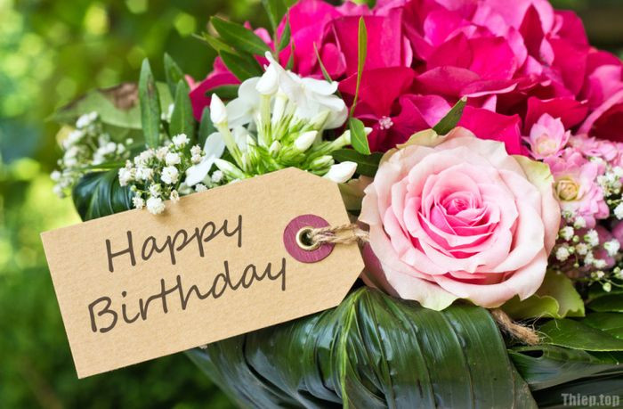 Ảnh avatar chúc mừng sinh nhật tinh tế
