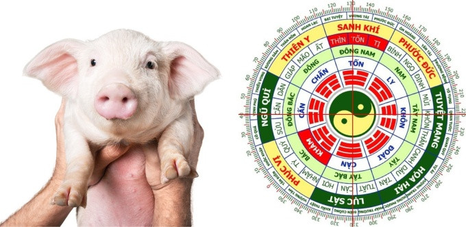 Biểu tượng âm dương và Ngũ hành thể hiện sự khác biệt cung mệnh nam nữ Đinh Hợi