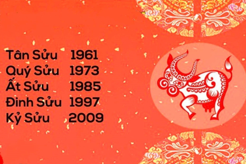 Hình ảnh một người đang nghiên cứu các lá bài hoặc biểu tượng huyền bí để dự đoán số mệnh