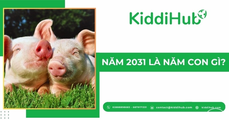 Hình ảnh minh họa con giáp đại diện cho năm 2031 là con Lợn