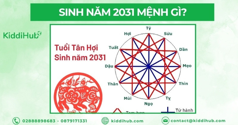 Biểu đồ ngũ hành và mệnh Kim của người sinh năm 2031